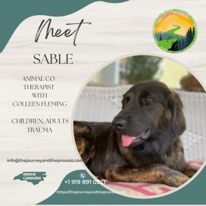 Wake Forest Flower Mound Anxiety Trauma Therapy