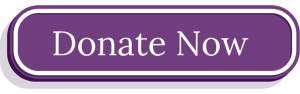 Affordable Trauma Therapy Donation
